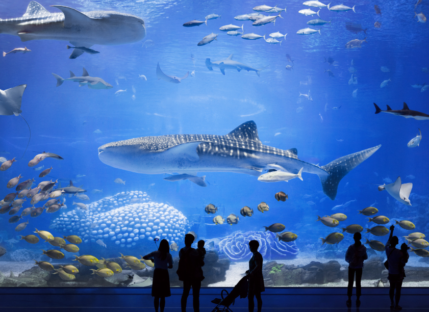 Chimelong Ocean Kingdom, Zhuhai, China